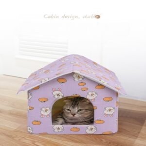 Cartoon-Style Pet House